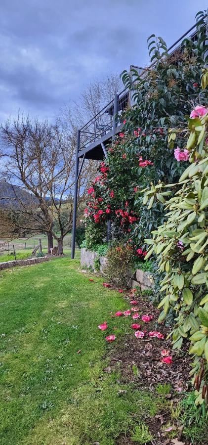 Rosewhite House Bed and Breakfast Myrtleford Exterior foto